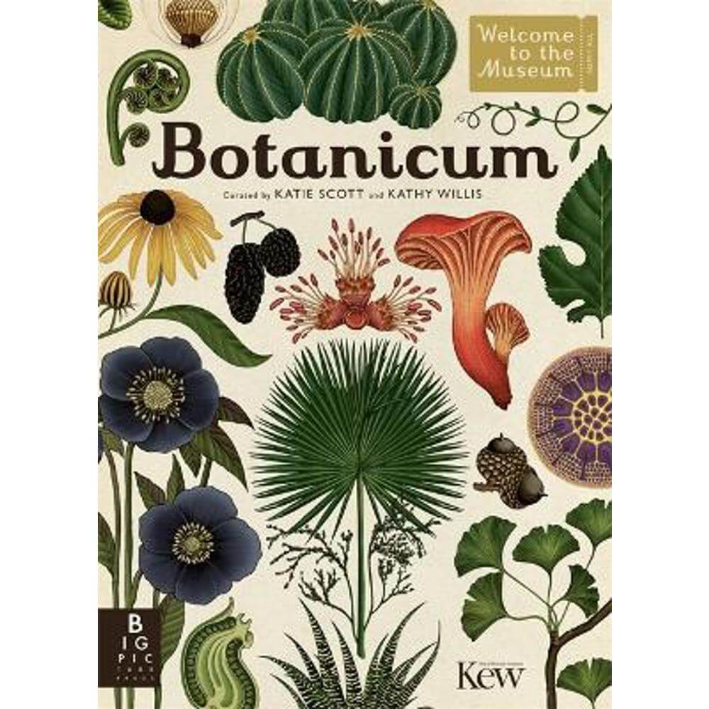 Botanicum (Hardback) - Katie Scott